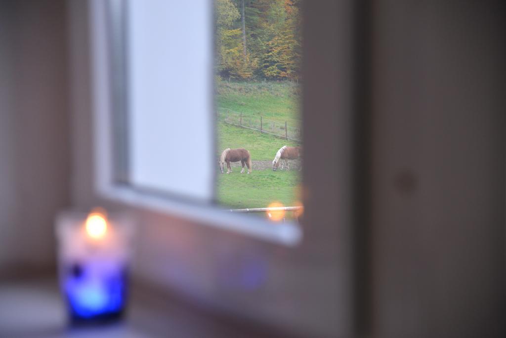 Ferienwohnung Schadler Windeck Exteriér fotografie